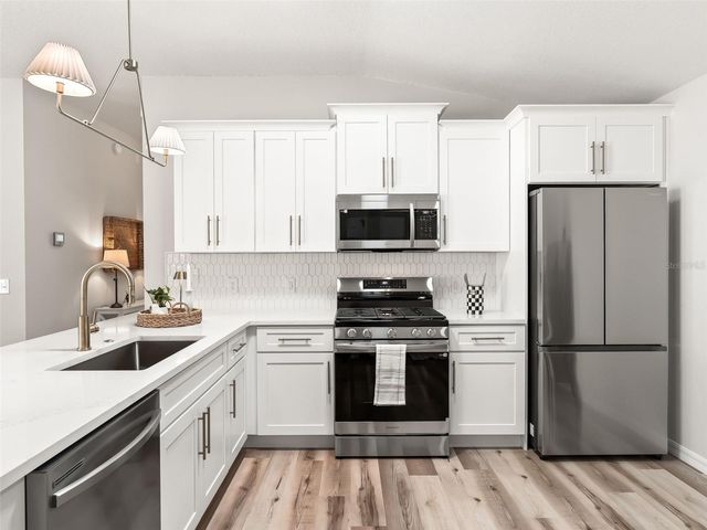 1245 JONESVILLE TERRACE, The Villages, FL 32162