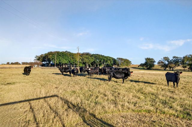 3901 FM 667, Frost, TX 76641