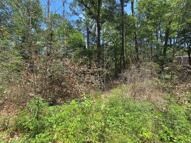 12949 Cedar Tree Court, Plantersville, TX 77363