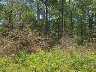 12949 Cedar Tree Court, Plantersville, TX 77363
