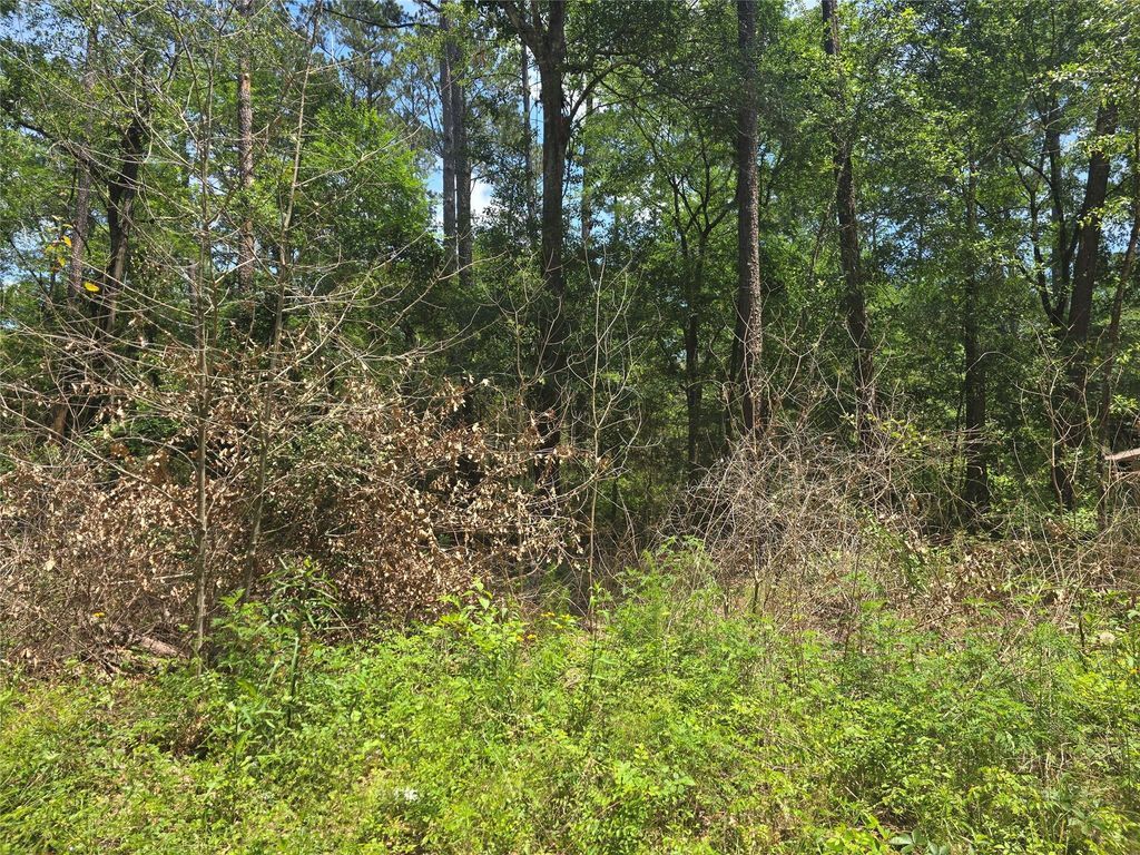 12949 Cedar Tree Court, Plantersville, TX 77363