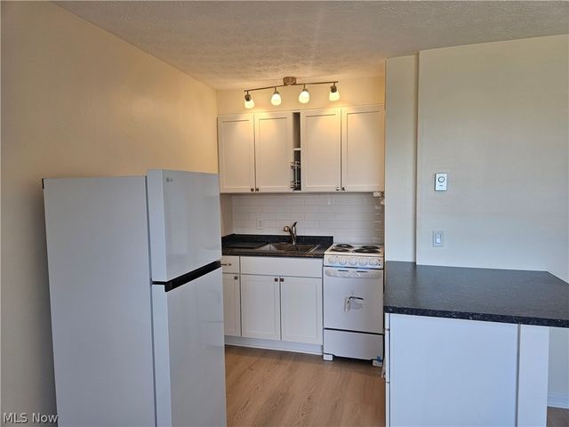 11850 Edgewater Drive 1007, Lakewood, OH 44107