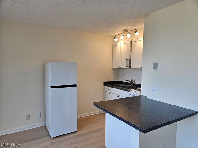 11850 Edgewater Drive 1007, Lakewood, OH 44107