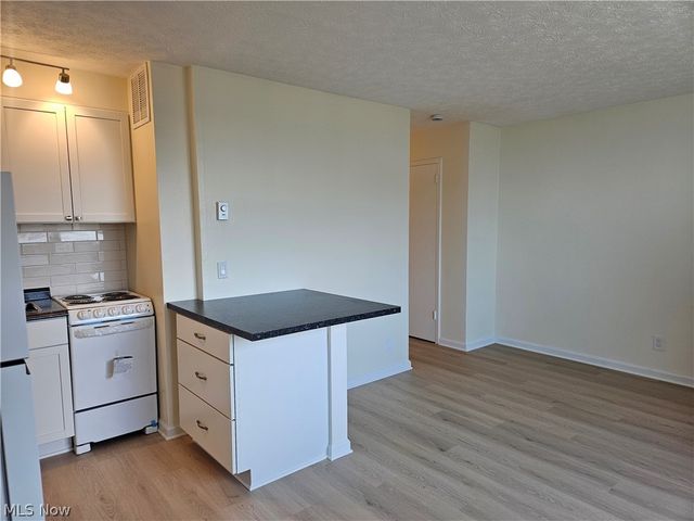11850 Edgewater Drive 1007, Lakewood, OH 44107