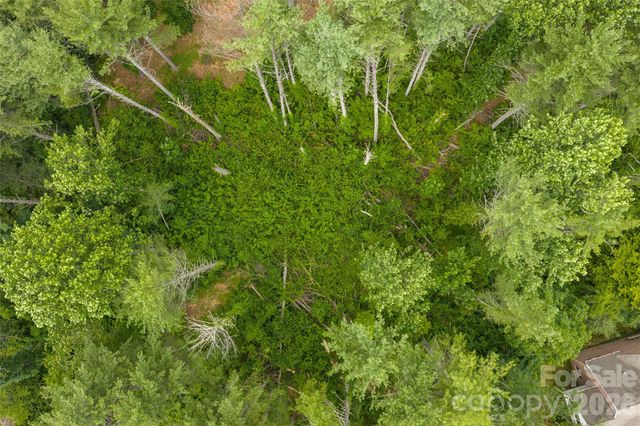 4 Dunnwoody Drive, Arden, NC 28704