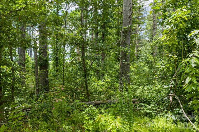 4 Dunnwoody Drive, Arden, NC 28704