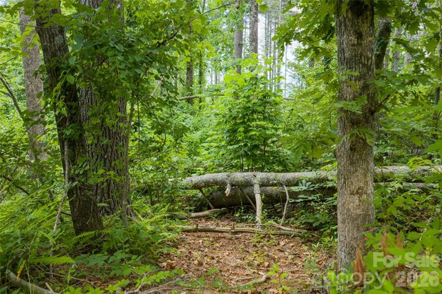 4 Dunnwoody Drive, Arden, NC 28704