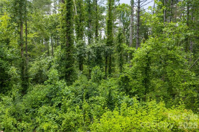 4 Dunnwoody Drive, Arden, NC 28704
