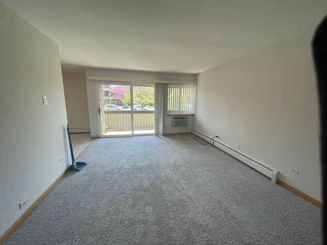 1806 Hemlock Place 204, Schaumburg, IL 60173