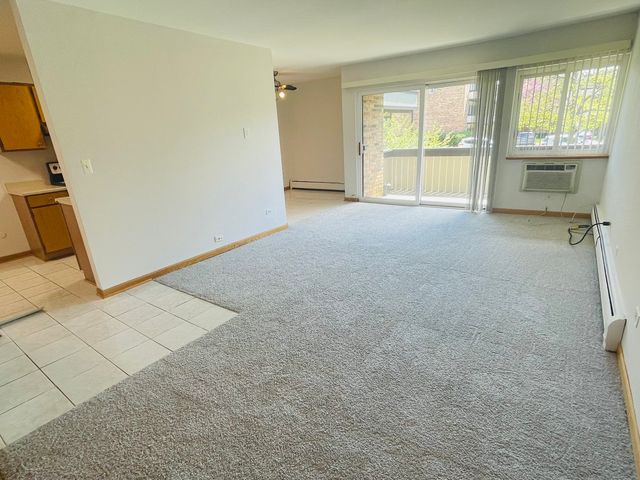 1806 Hemlock Place 204, Schaumburg, IL 60173