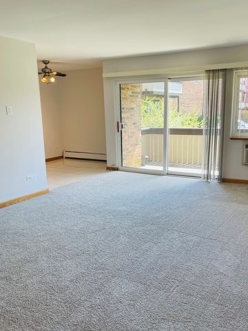 1806 Hemlock Place 204, Schaumburg, IL 60173