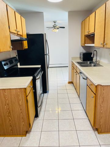 1806 Hemlock Place 204, Schaumburg, IL 60173
