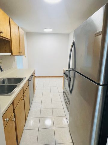 1806 Hemlock Place 204, Schaumburg, IL 60173