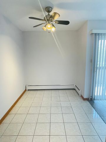 1806 Hemlock Place 204, Schaumburg, IL 60173