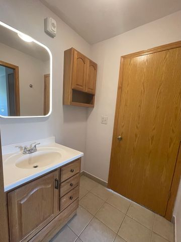 1806 Hemlock Place 204, Schaumburg, IL 60173