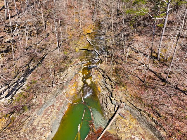 8 Beechwood Drive, Nancy, KY 42544