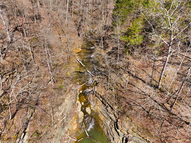 8 Beechwood Drive, Nancy, KY 42544