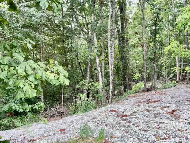 8 Beechwood Drive, Nancy, KY 42544