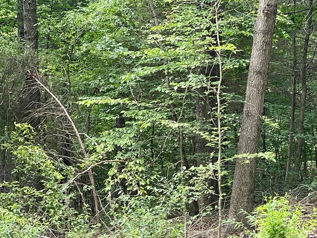 8 Beechwood Drive, Nancy, KY 42544