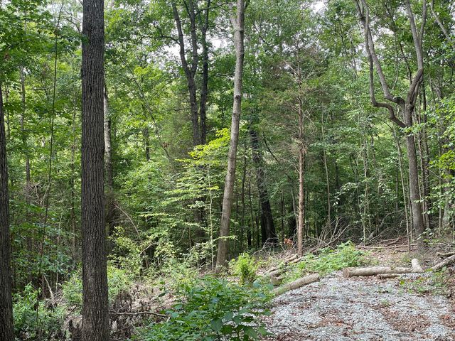 8 Beechwood Drive, Nancy, KY 42544