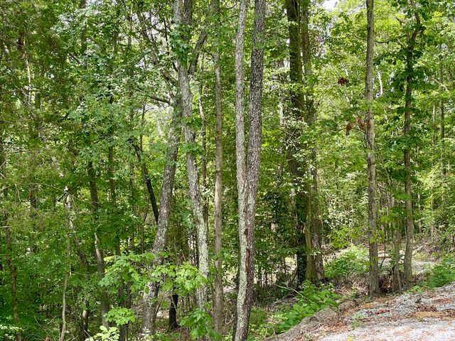 8 Beechwood Drive, Nancy, KY 42544