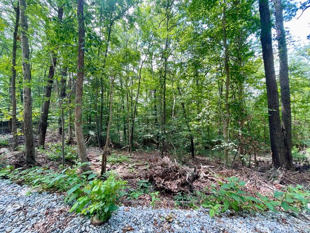 8 Beechwood Drive, Nancy, KY 42544