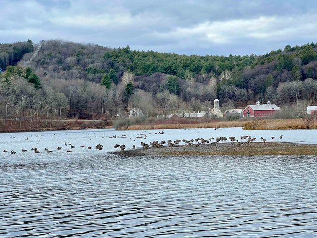 214 Putney Road, Brattleboro, VT 05301