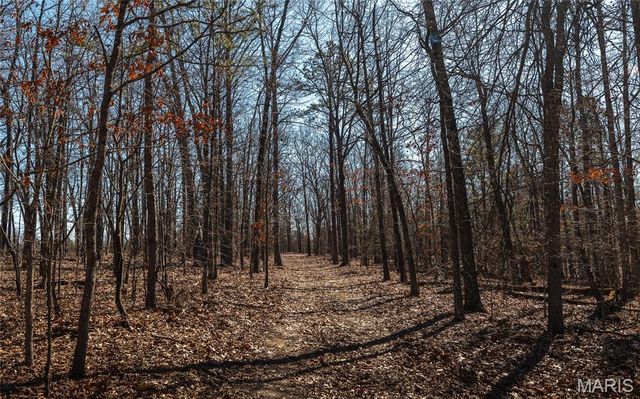 37805 State Highway HH, Patton, MO 63662