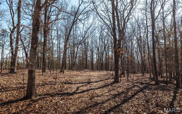 37805 State Highway HH, Patton, MO 63662