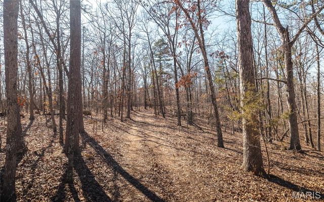 37805 State Highway HH, Patton, MO 63662