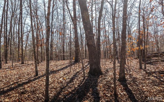 37805 State Highway HH, Patton, MO 63662