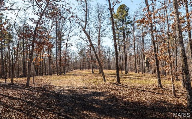 37805 State Highway HH, Patton, MO 63662