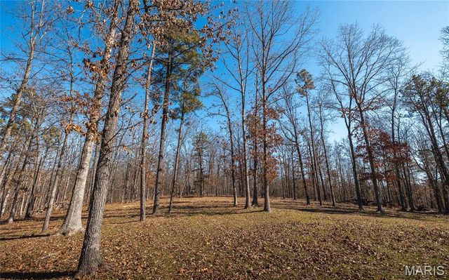 37805 State Highway HH, Patton, MO 63662