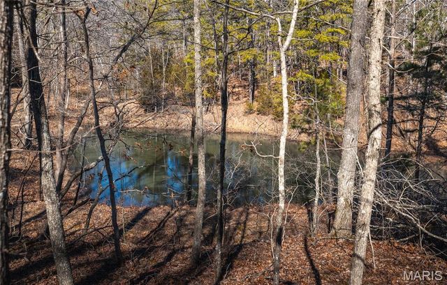 37805 State Highway HH, Patton, MO 63662