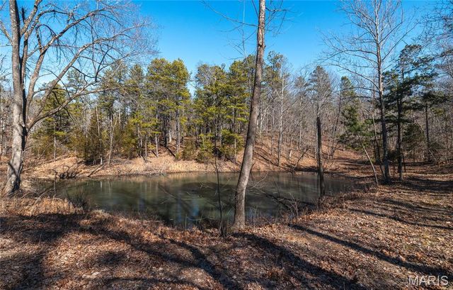 37805 State Highway HH, Patton, MO 63662