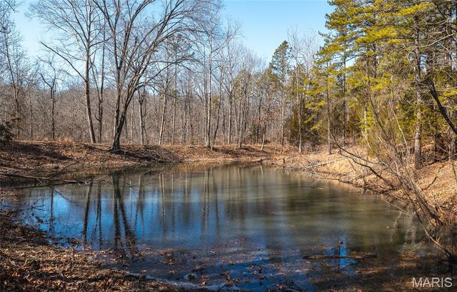 37805 State Highway HH, Patton, MO 63662