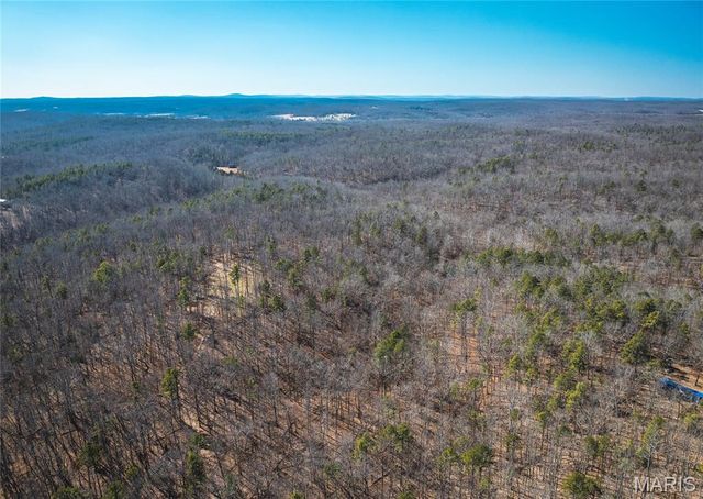 37805 State Highway HH, Patton, MO 63662