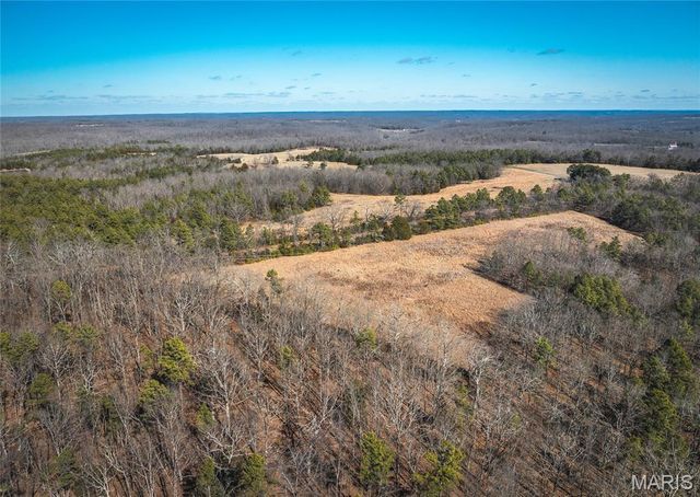 37805 State Highway HH, Patton, MO 63662