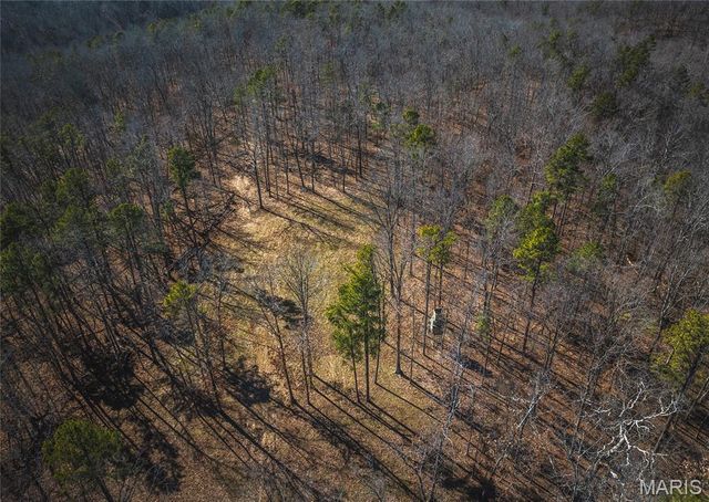 37805 State Highway HH, Patton, MO 63662