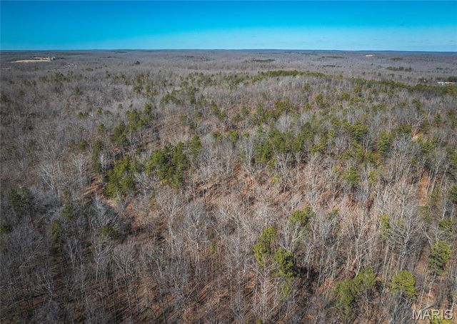 37805 State Highway HH, Patton, MO 63662