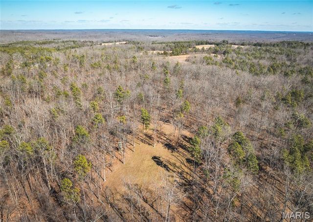37805 State Highway HH, Patton, MO 63662