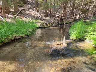 Manzanita Creek Drive, Shingletown, CA 96088