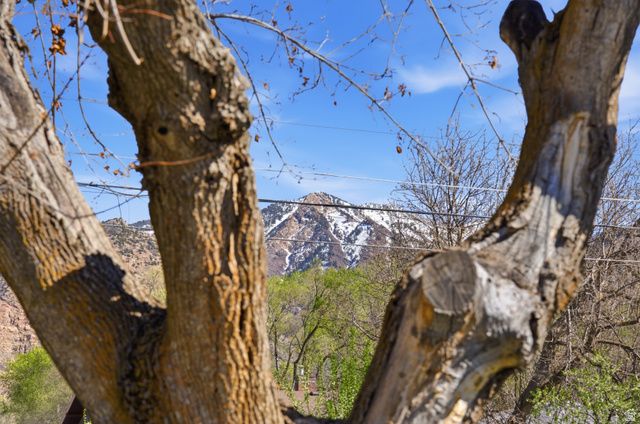 2244 JACKSON AVE, Ogden, UT 84401