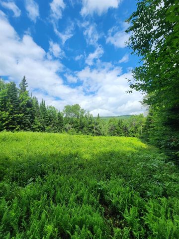 1602 East Haven Road, Brighton, VT 05846