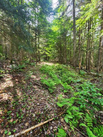 1602 East Haven Road, Brighton, VT 05846