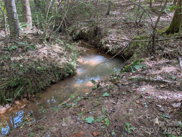 00 Pea Ridge Road, Mill Spring, NC 28756