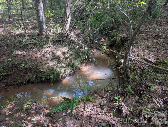 00 Pea Ridge Road, Mill Spring, NC 28756