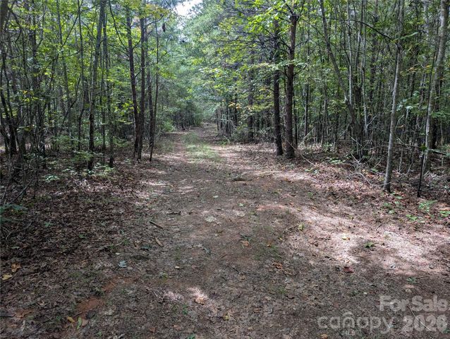 00 Pea Ridge Road, Mill Spring, NC 28756
