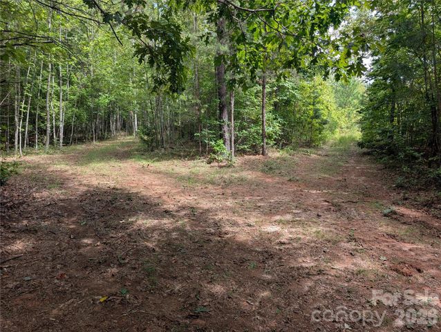 00 Pea Ridge Road, Mill Spring, NC 28756