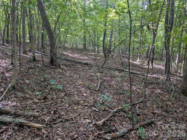 00 Pea Ridge Road, Mill Spring, NC 28756